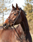Finesse bridles - Uzdečka Zorro new plane narrow noseband