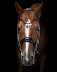 Utzon - bridle Edinburgh - glossy black
