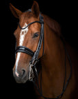 Utzon - bridle Edinburgh - glossy black