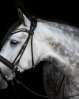 Utzon - Olympic bridle - black