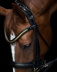 Utzon - bridle Olympic - black