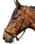 Utzon - Olympic leather halter