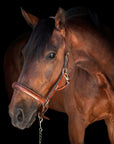Utzon - Olympic leather halter