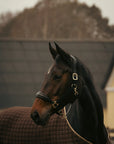 Finesse - leather halter - black