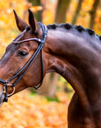 Finesse - Spirit bridle - black