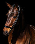 Finesse - Spirit bridle - black