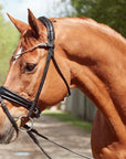 Finesse Bridles - Bridle Cassidy & Cathrine Dufour - various colors