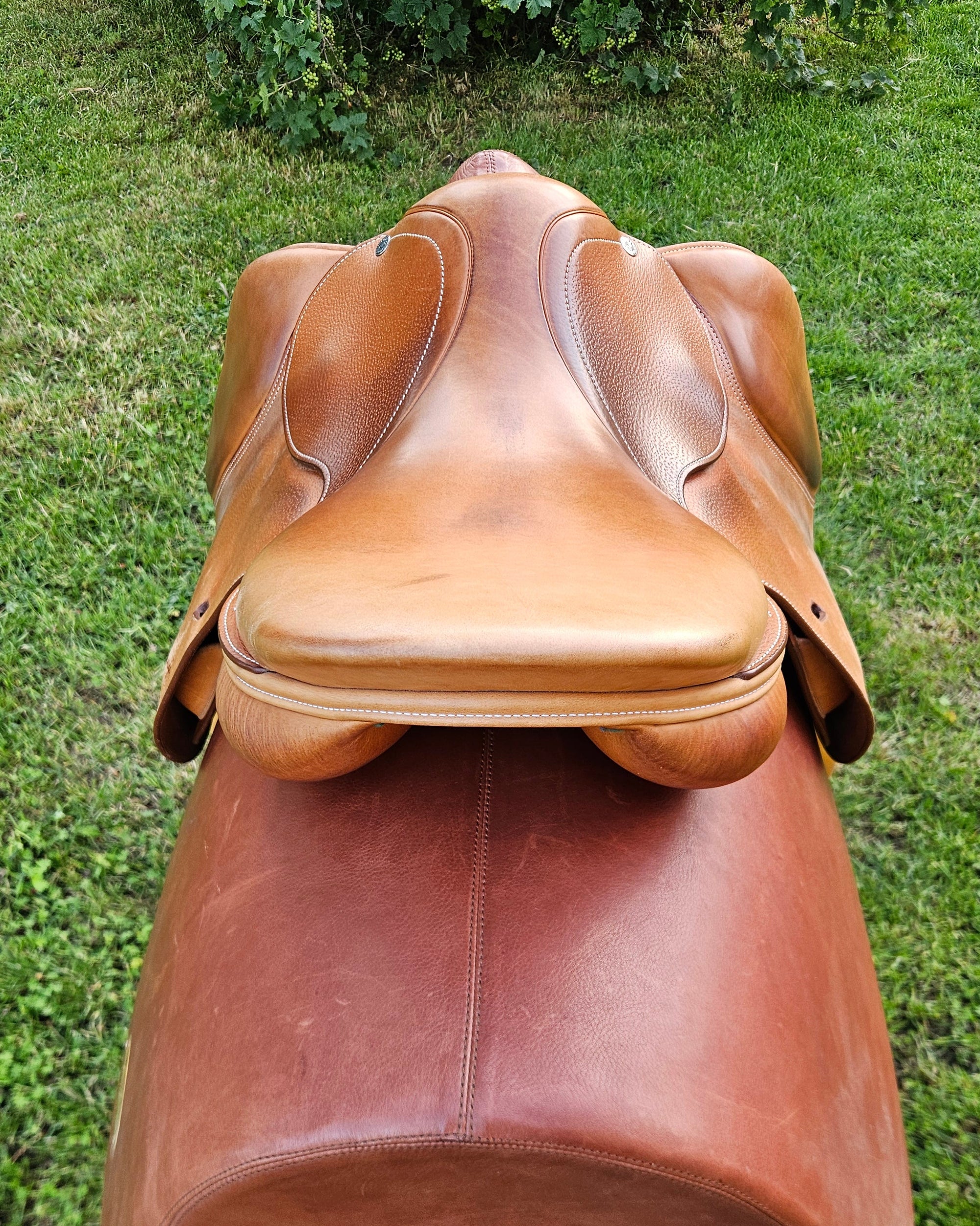 Amerigo Octave P 17,5"- testační