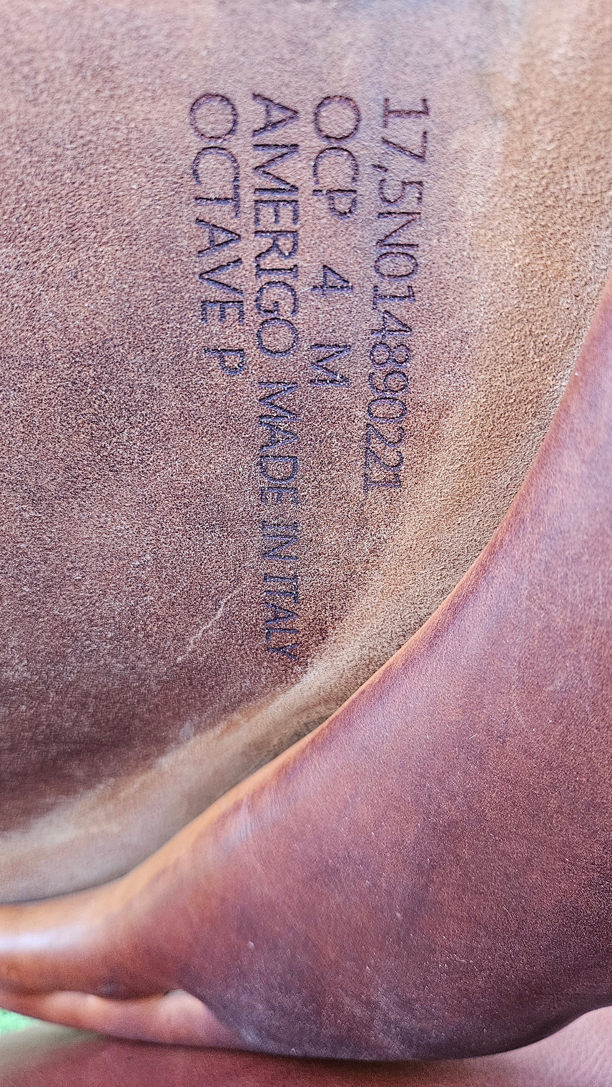 Amerigo Octave P 17,5"- testační