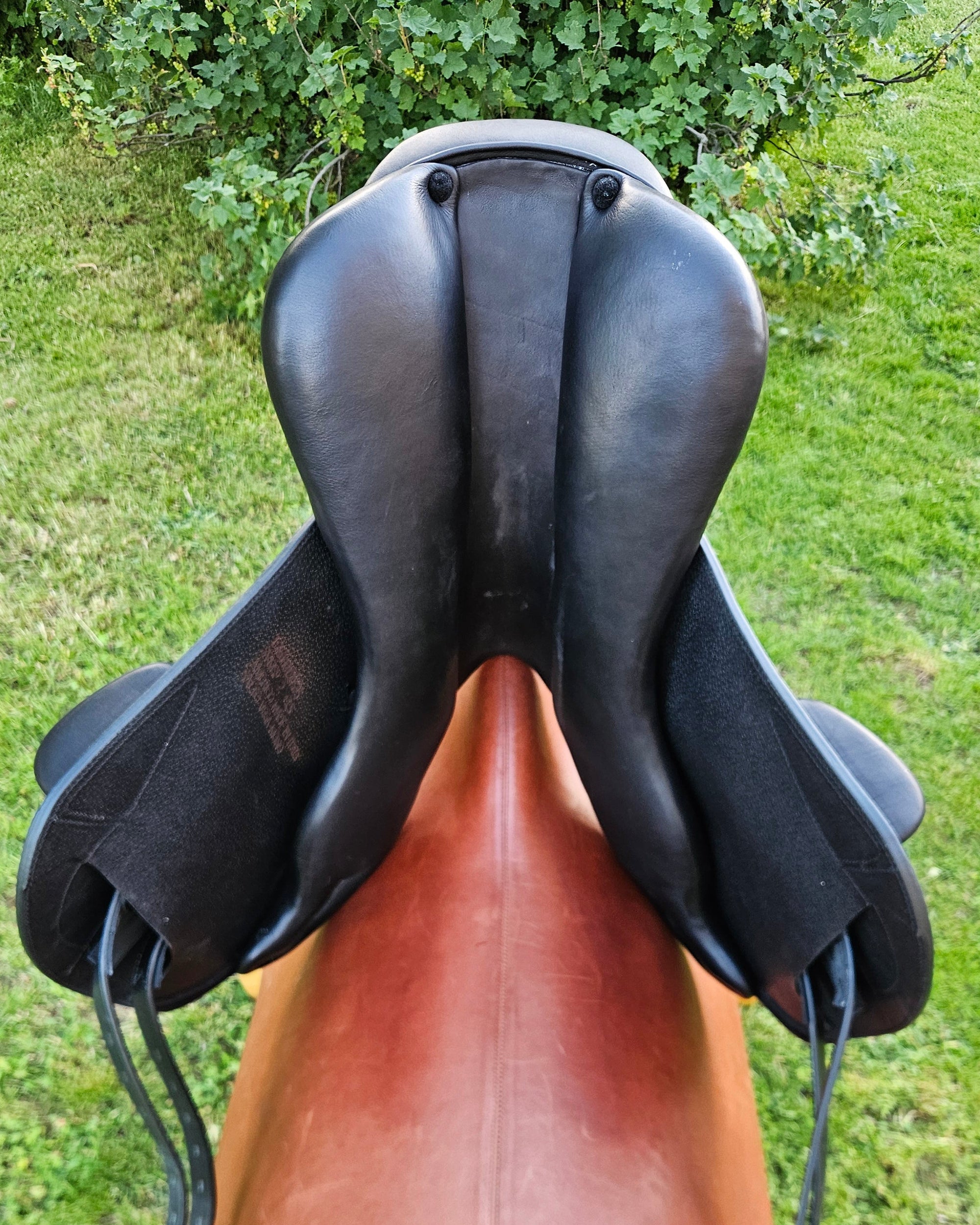 Amerigo Salto Vega 16" - černá MONO flap - testační