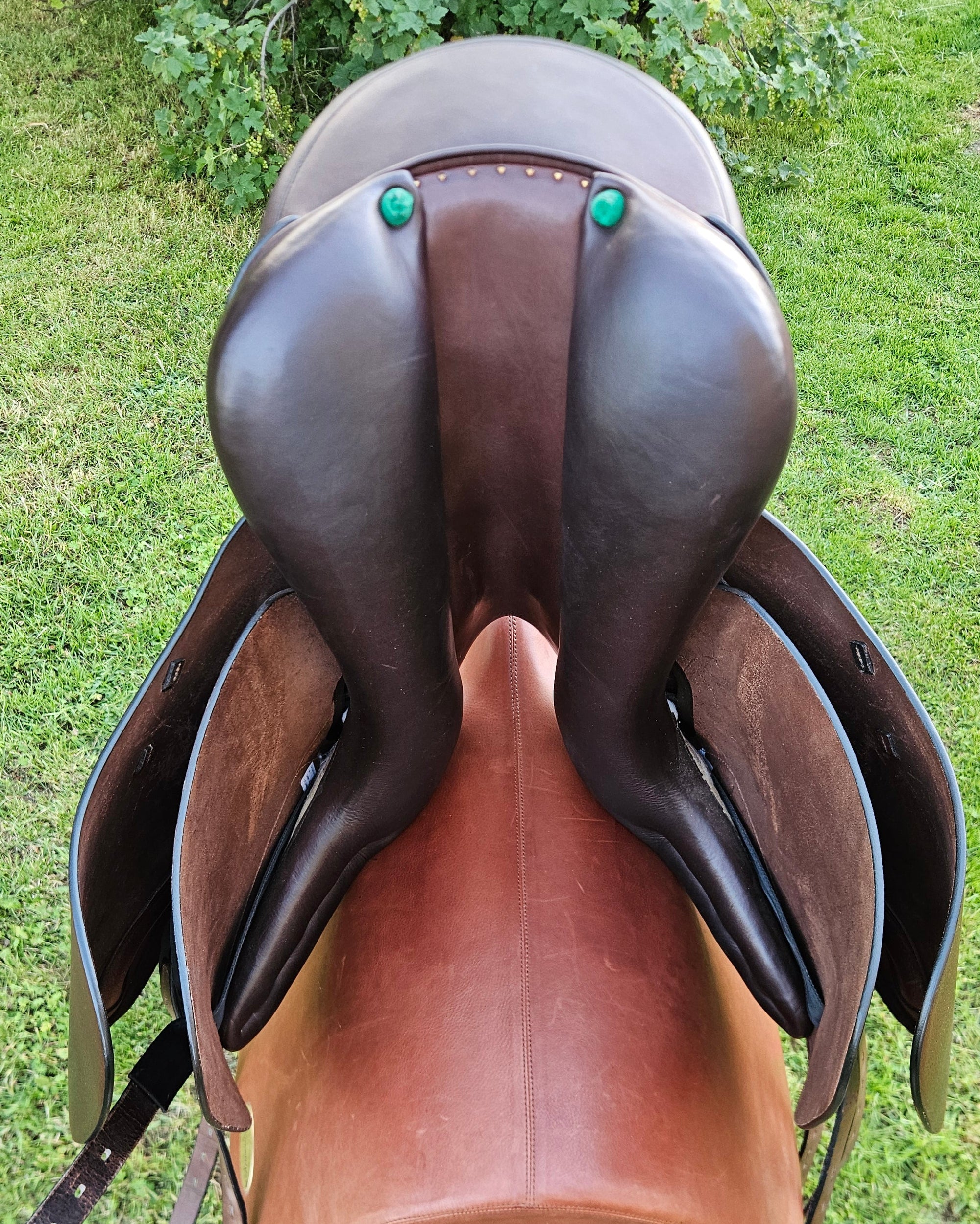 Amerigo Cervia 17,5" - hnědá - testační